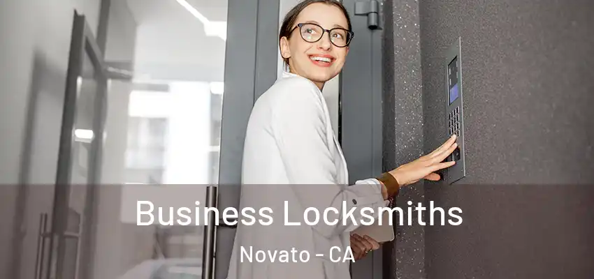  Business Locksmiths Novato - CA